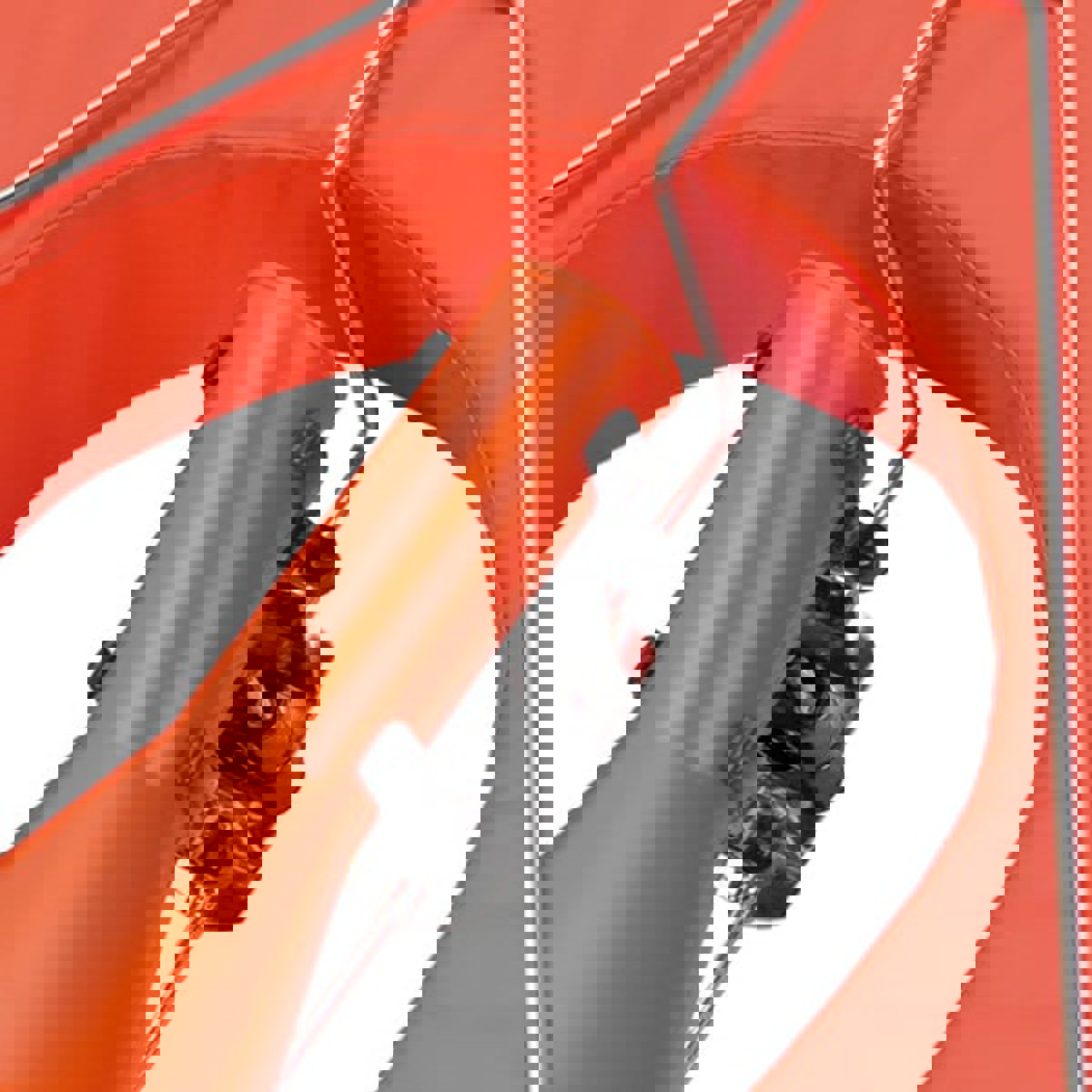 Besto ensemble de bouée wipe clean orange 4