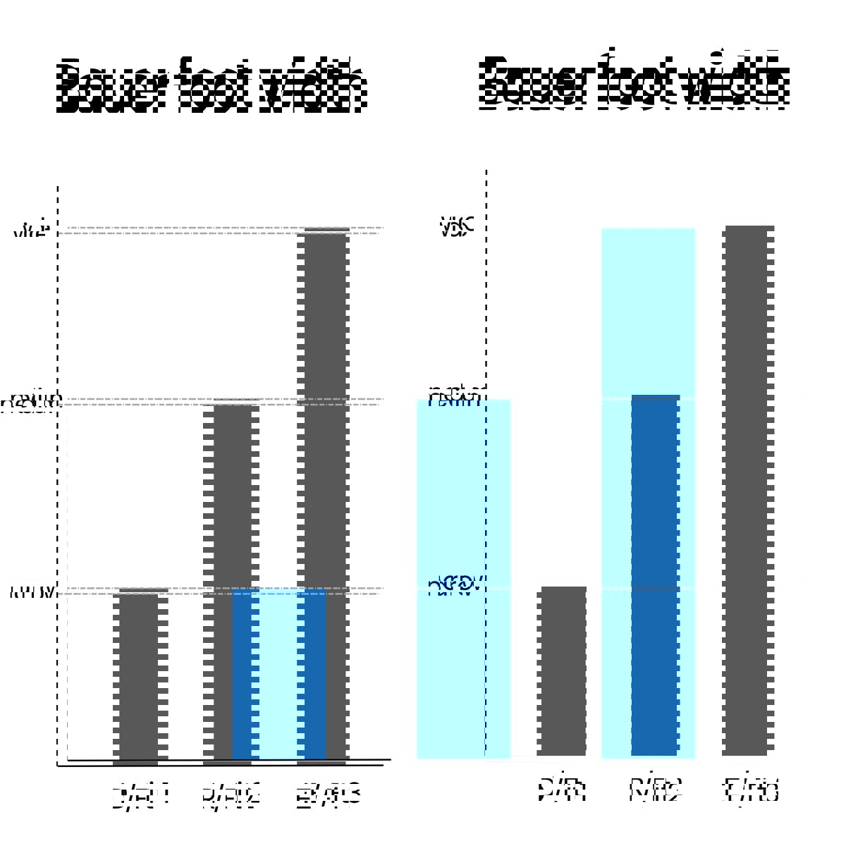 Bauer Vapor Fly 30 ijshockey schaatsen senior EE 11