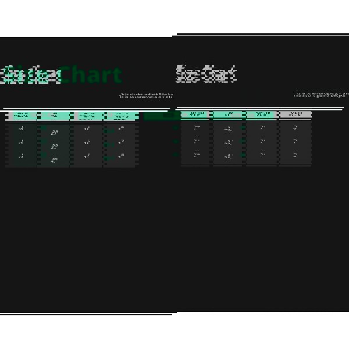 Roces BIG ICY ijshockeyschaatsen zwart/wit 3