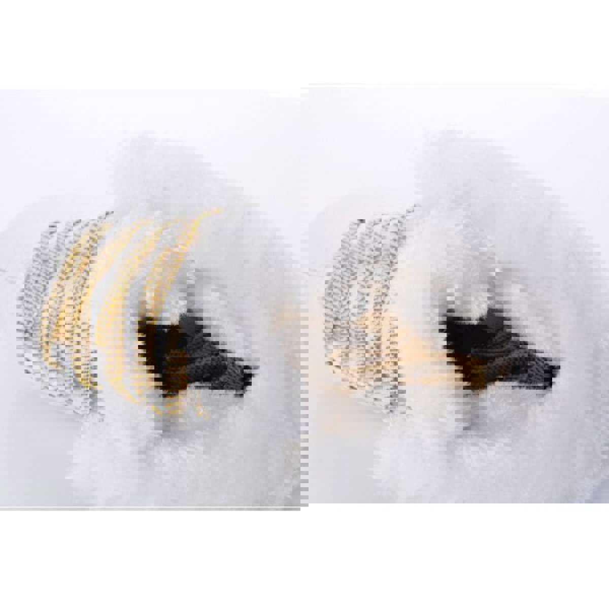 Tempish Fine eiskunstlaufschuhe Weiß 5