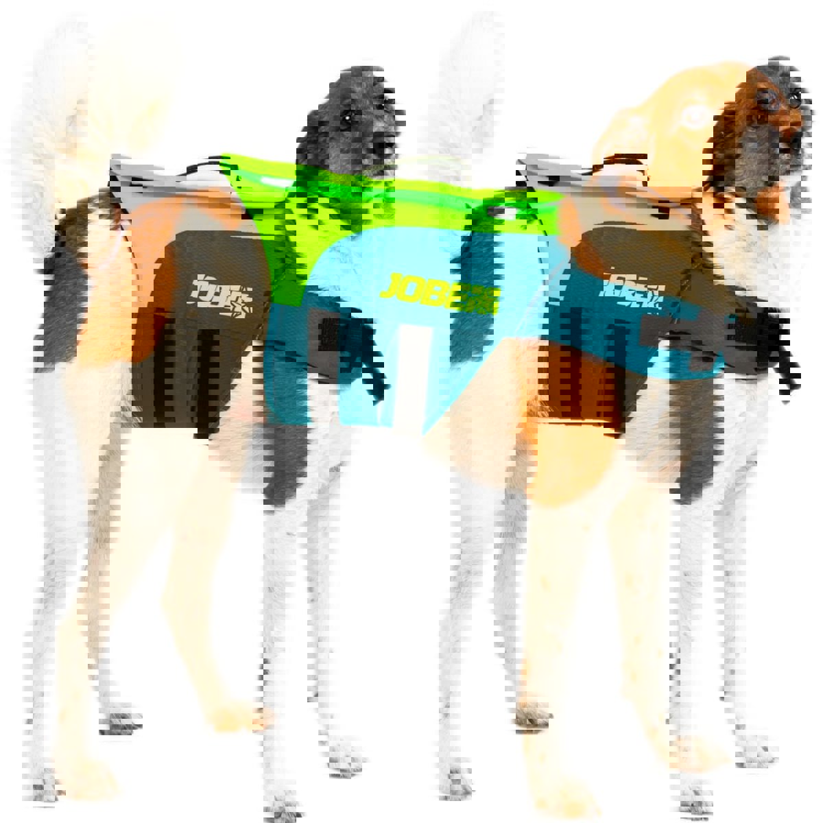 Jobe schwimmweste hun grun 3