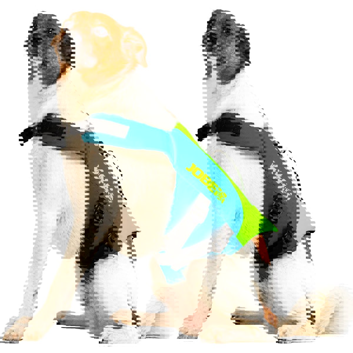 Jobe schwimmweste hun grun 4