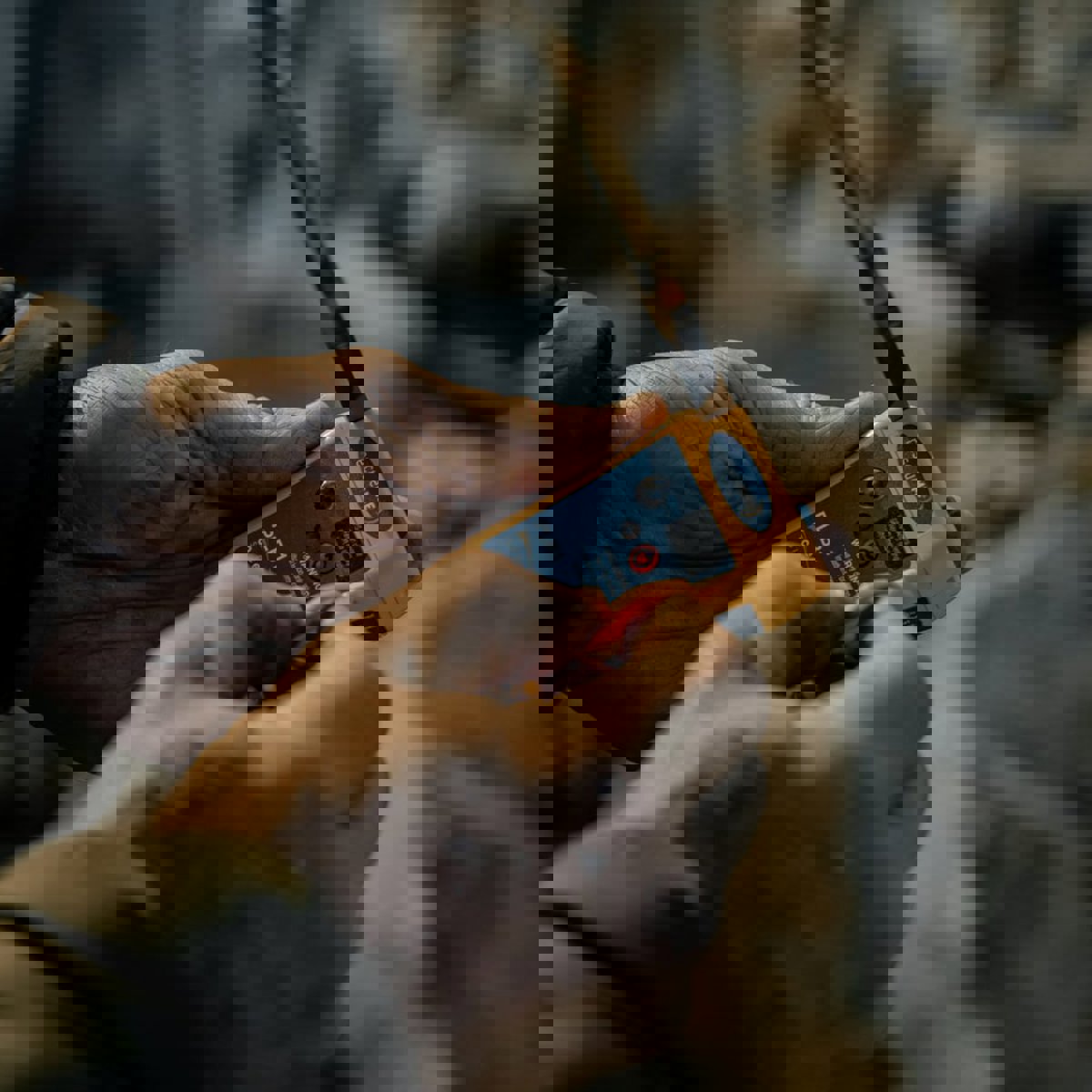 Ocean signal PLB1 14