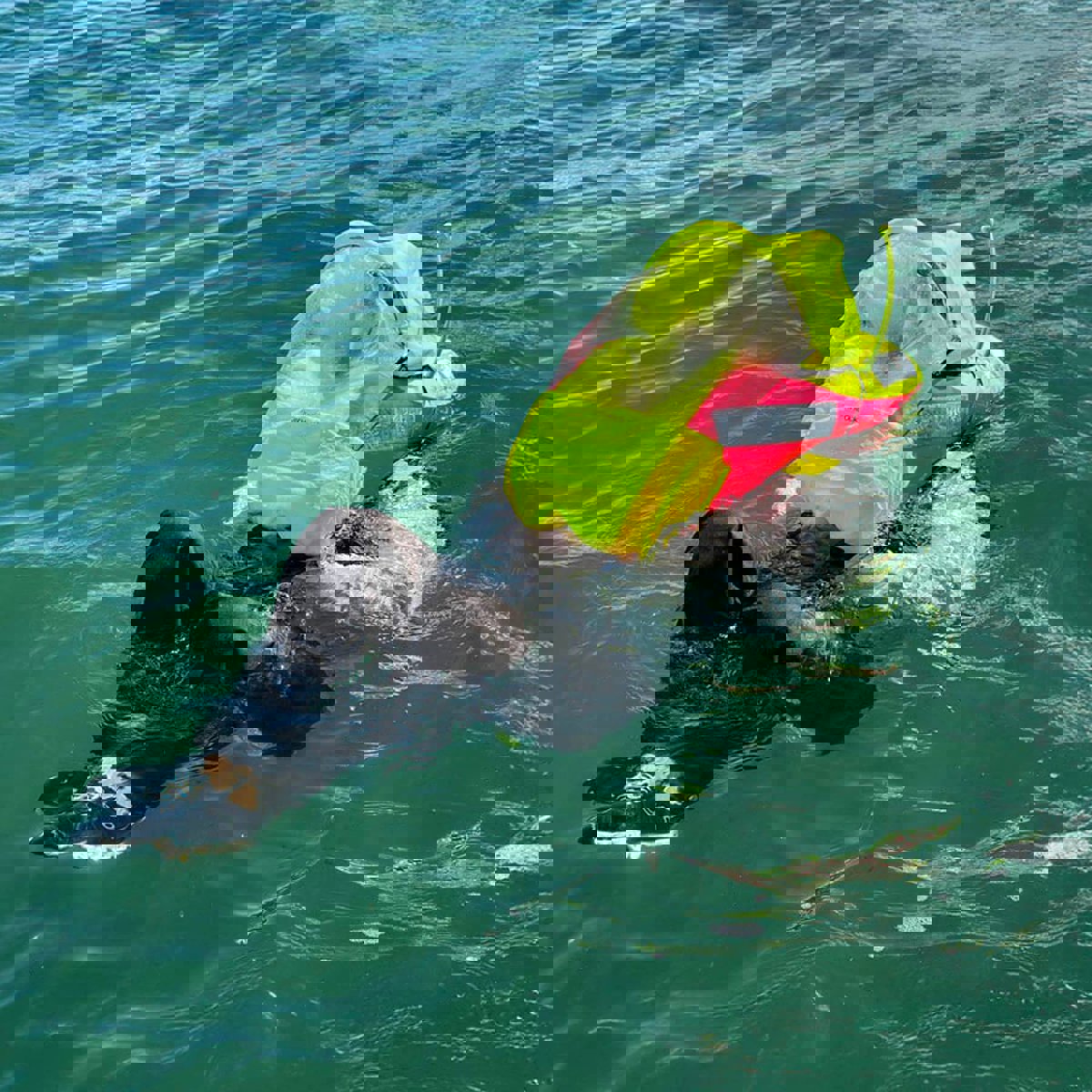 Spinlock Deckvest Vito 170N AFS 7