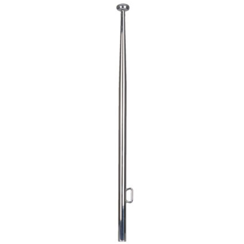 RVS Fahnenmast 25x620mm