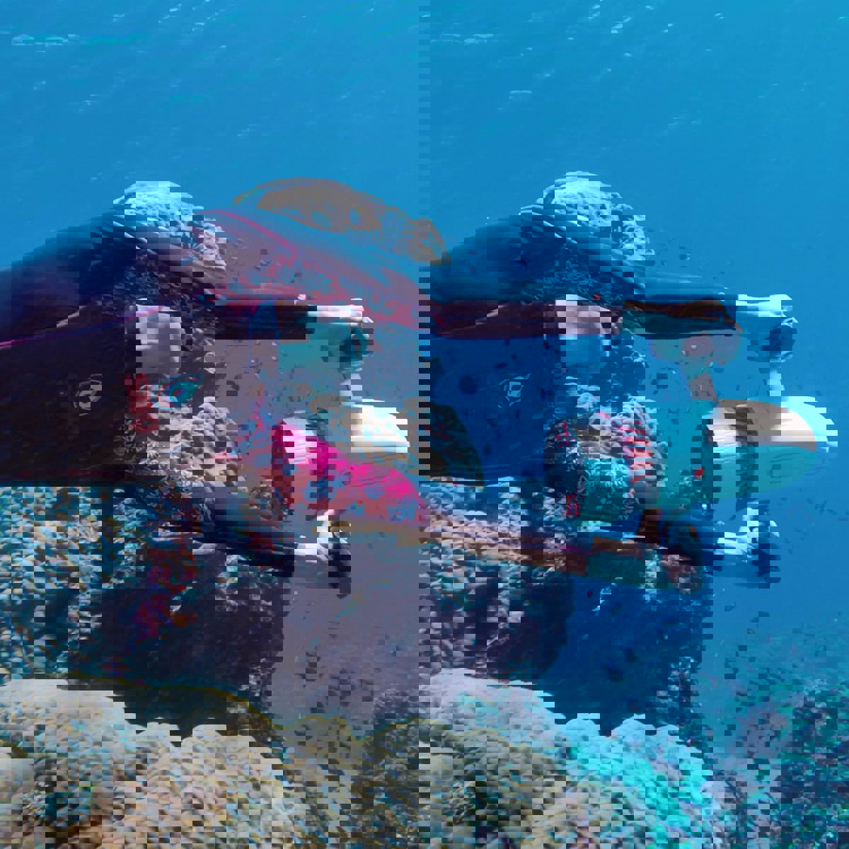 Sublue Tini Unterwasser Scooter weiß 16