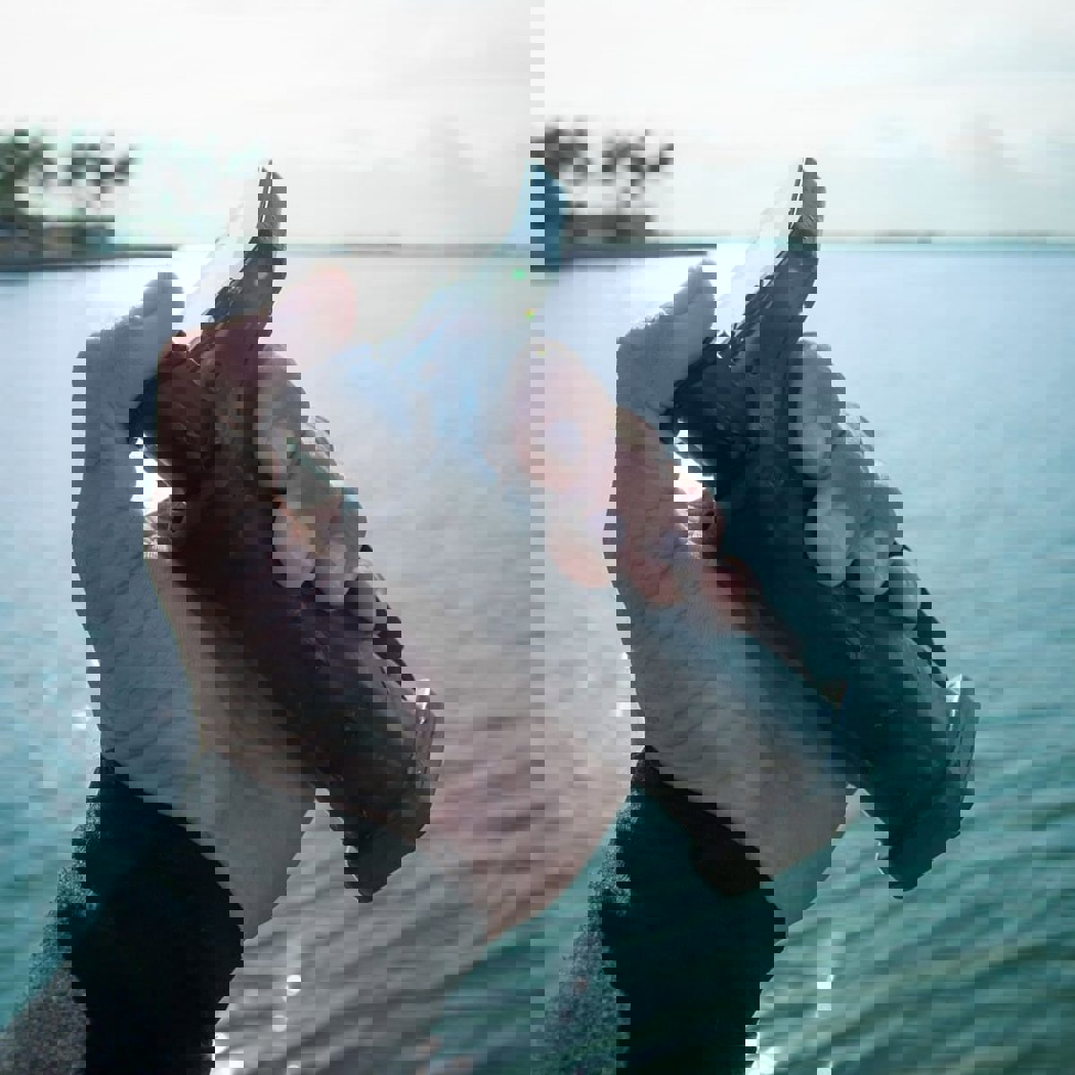 Awake flex Hand Controller 4 6