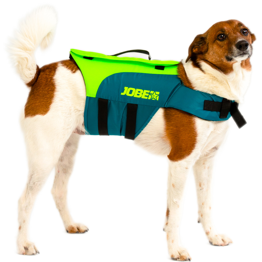 Jobe gilet de sauvetage 50N chien Lime teal foto 1