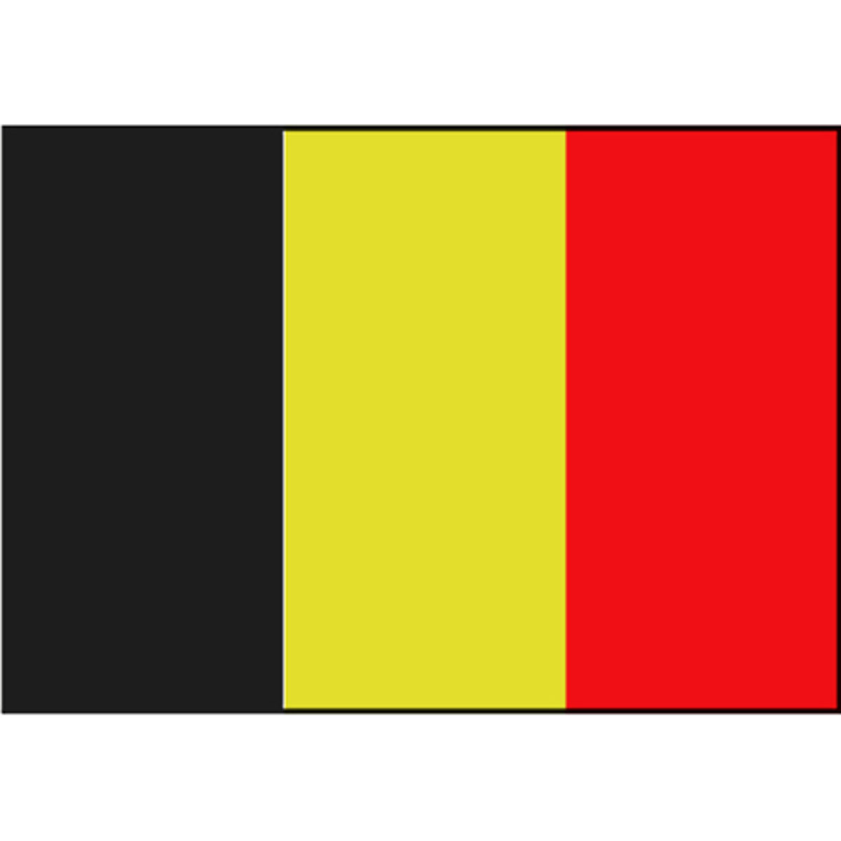 Talamex drapeau belge 30x45 3