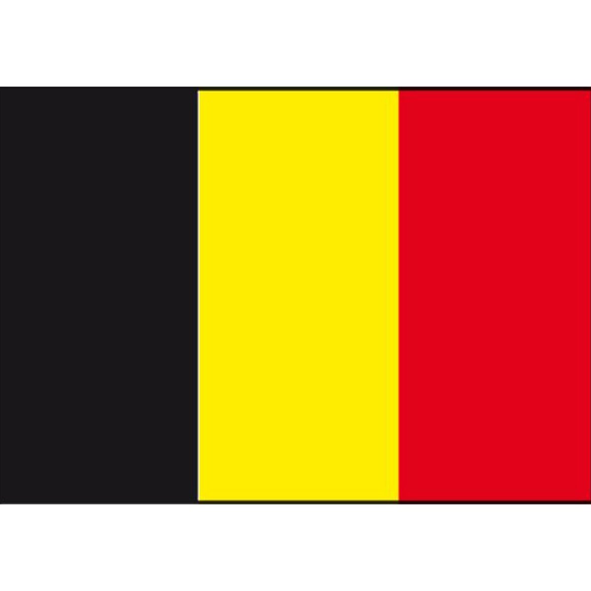 Talamex drapeau belge 30x45 5