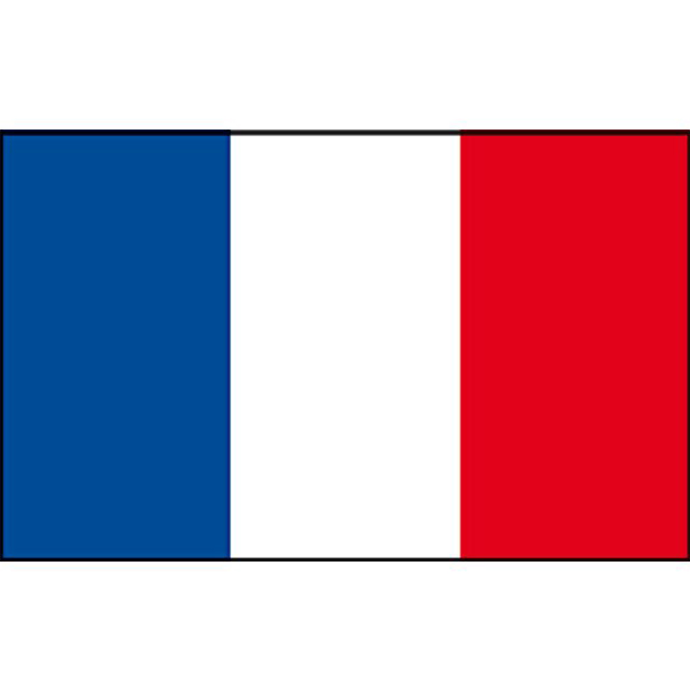 Talamex drapeau français 20x30 2