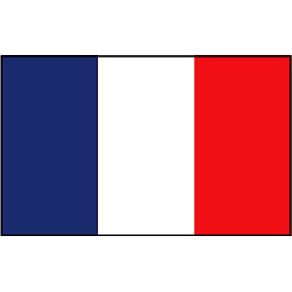 Talamex drapeau français 20x30 3