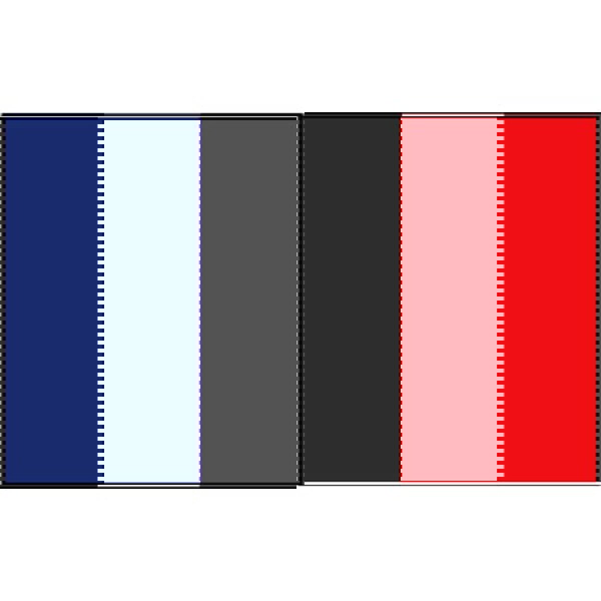 Talamex drapeau français 30x45 4