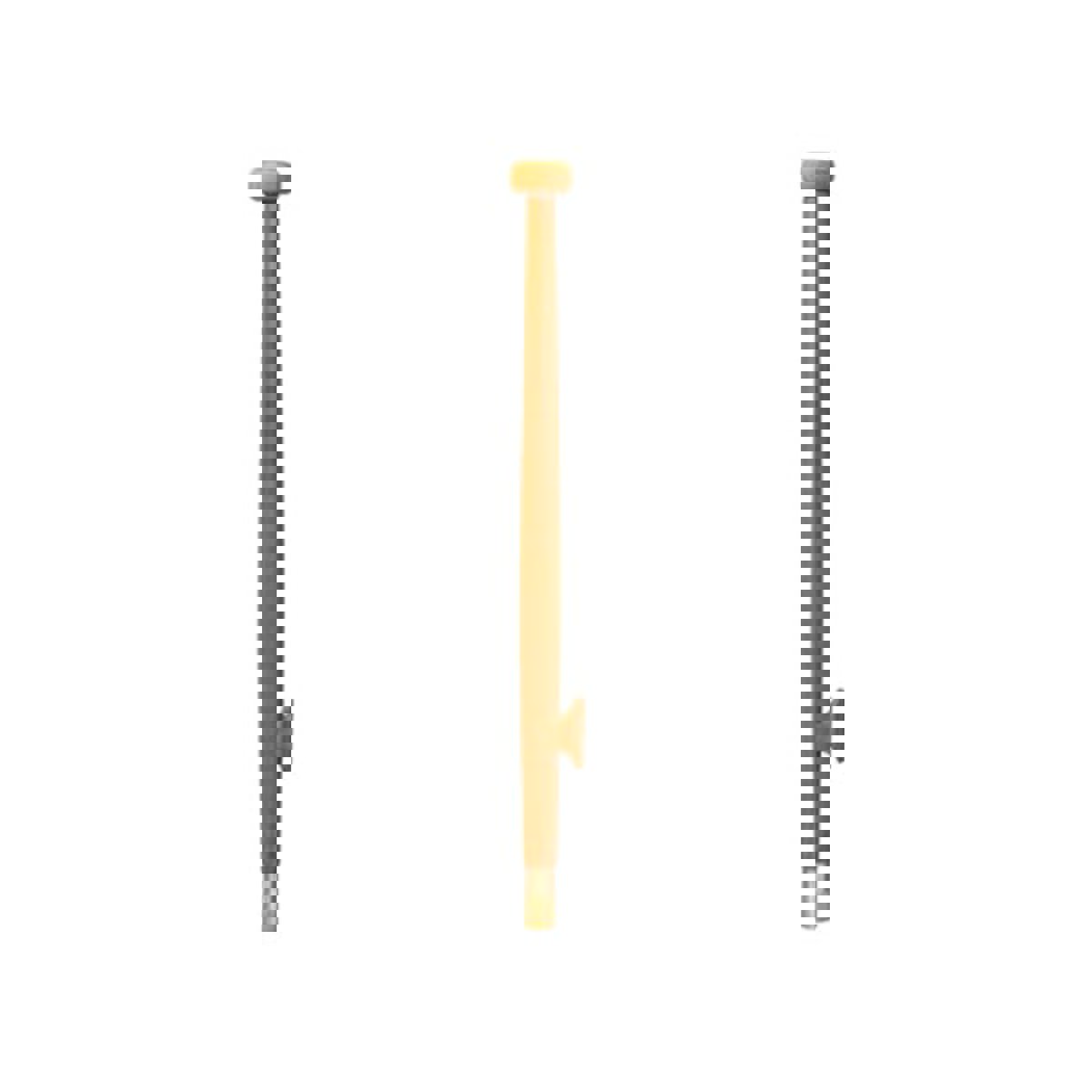 Eude mât en teck 75cm 12