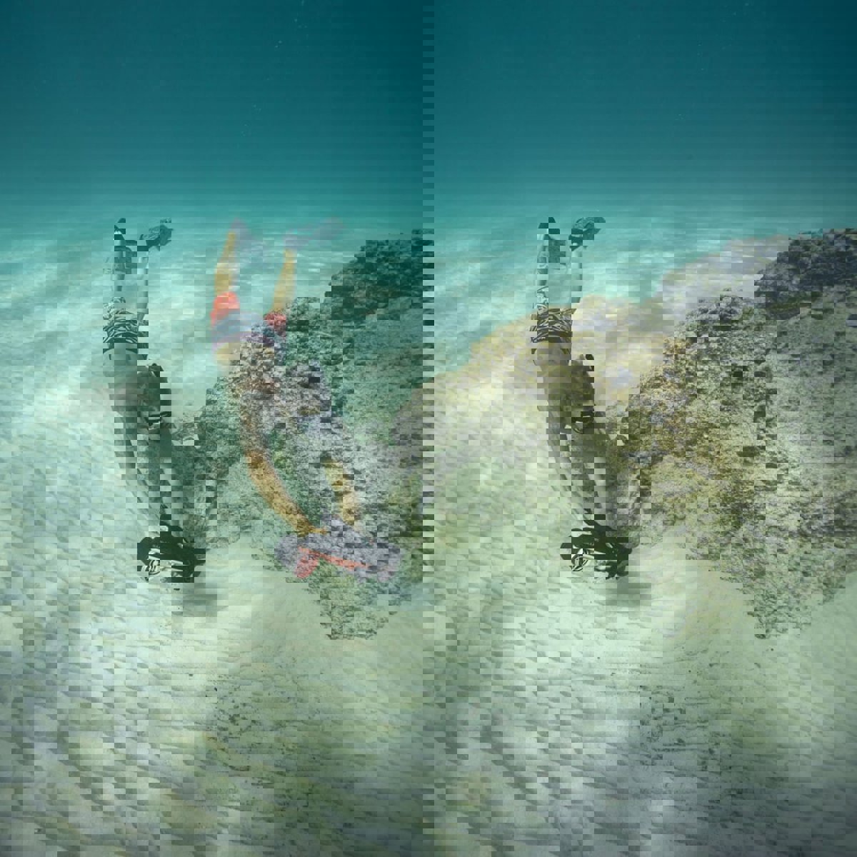 Sublue Navbow scooter sous-marin rouge 12