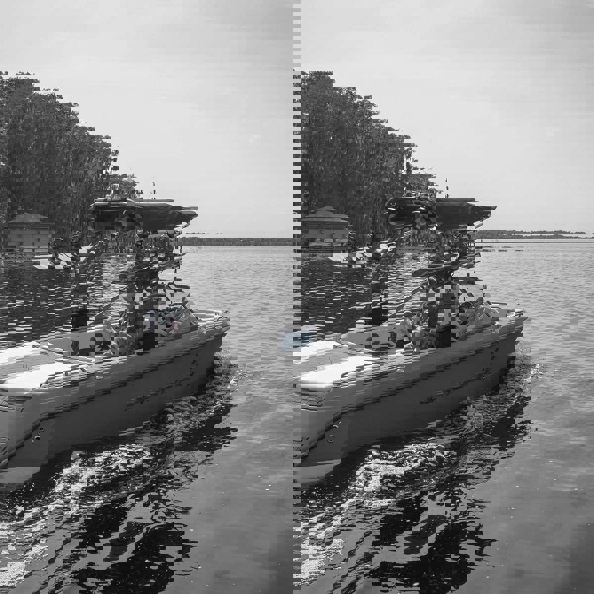 Roswell Aviator pro Riser 4.5 noir 4