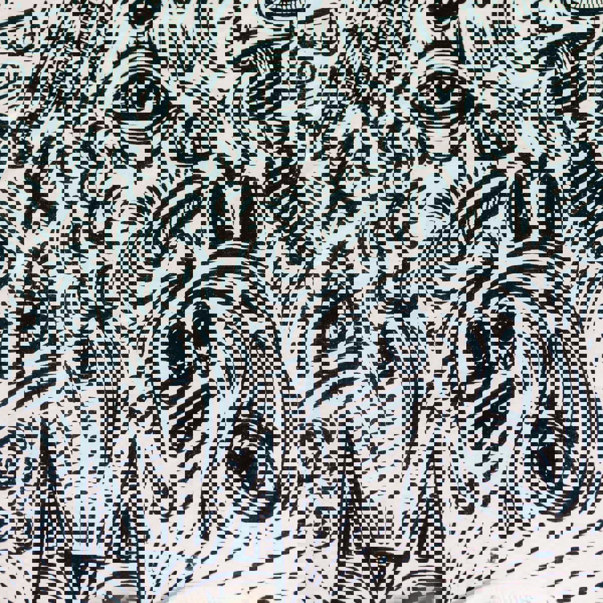 Liquid Force Ensemble de wakeboard Apex 144 cm avec fixations Classic 6x 20