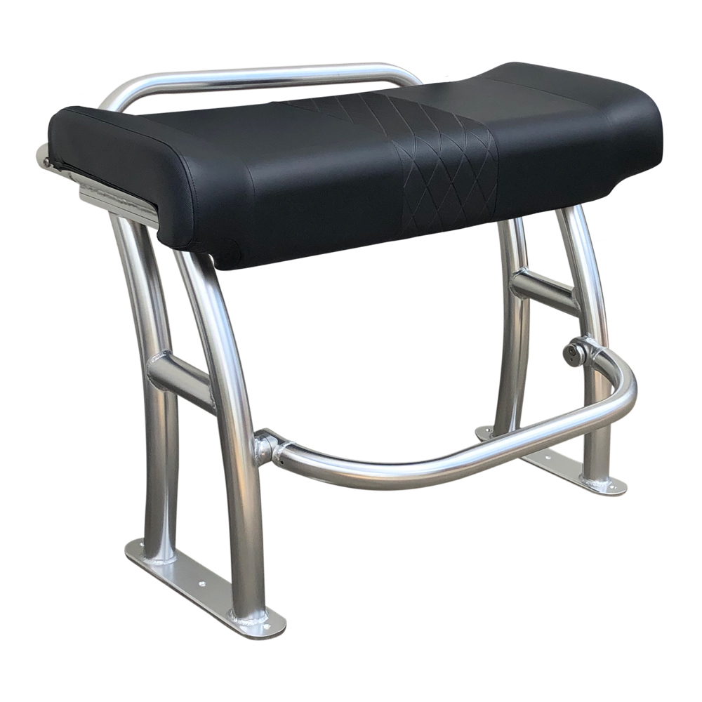 Fishmaster Pro T-Top chaise polie avec coussin noir incl. rail foto 1