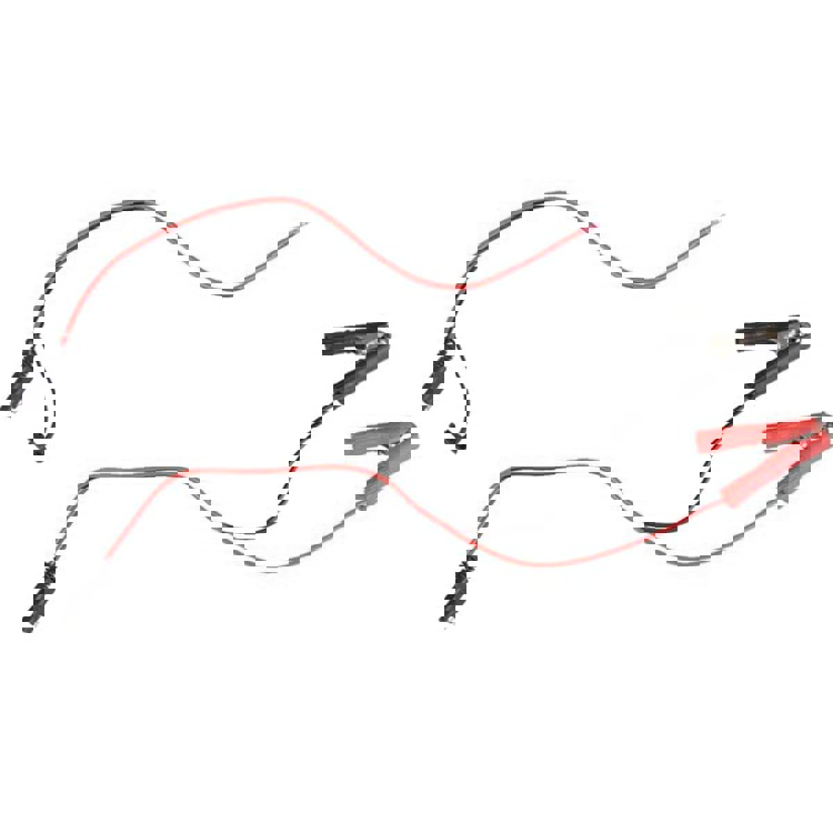 Talamex Caricabatterie automatico TALAMEX 10A 12/24V 5