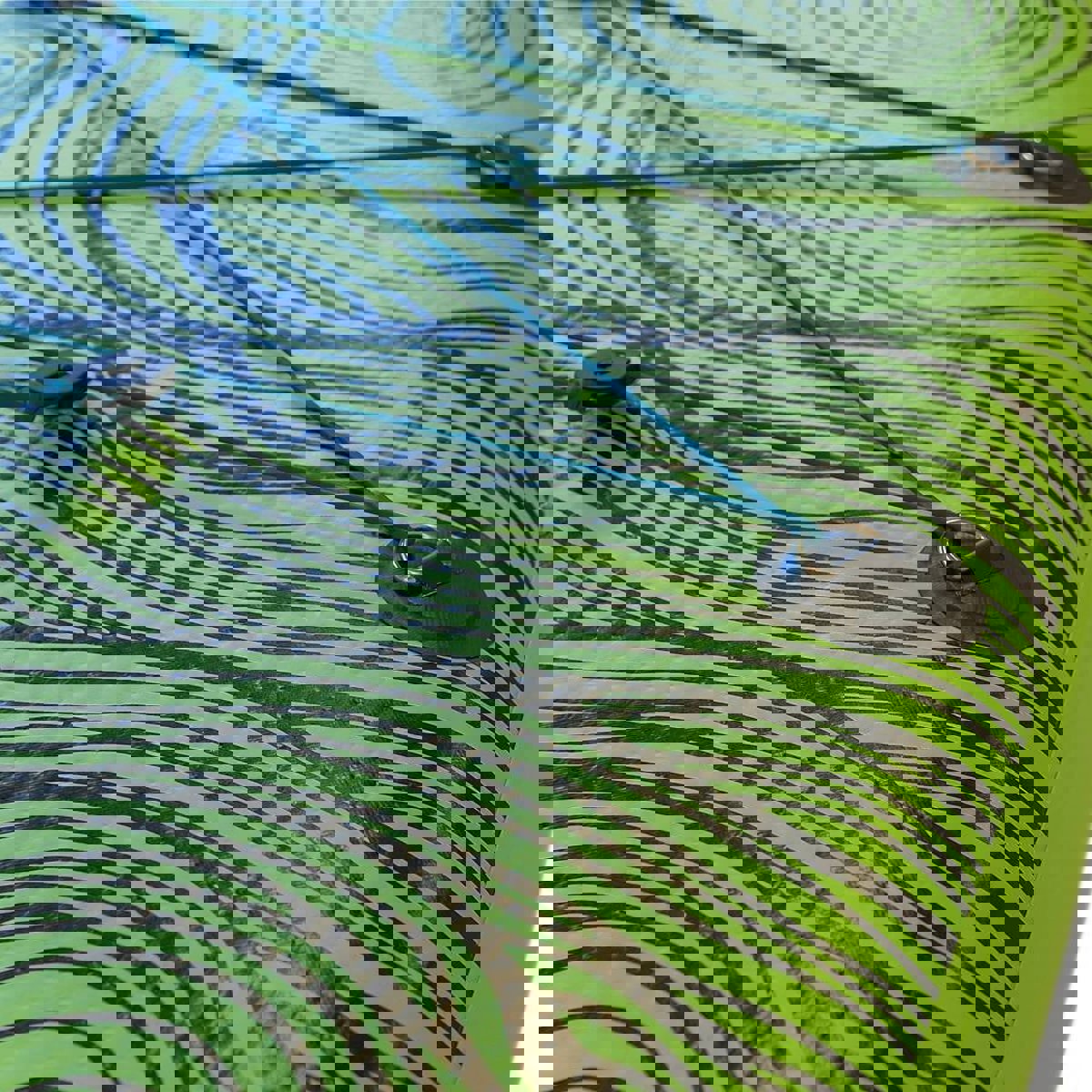 Spinera Light 11.8 pacchetto da sup gonfiabile 5