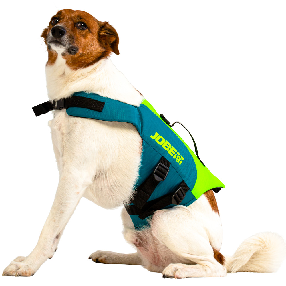 giubbotto salvagente per cane Lime Teal