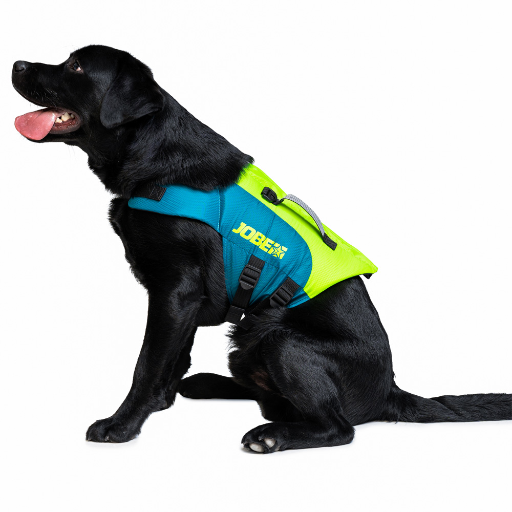 Jobe giubbotto salvagente per cane Lime Teal 3