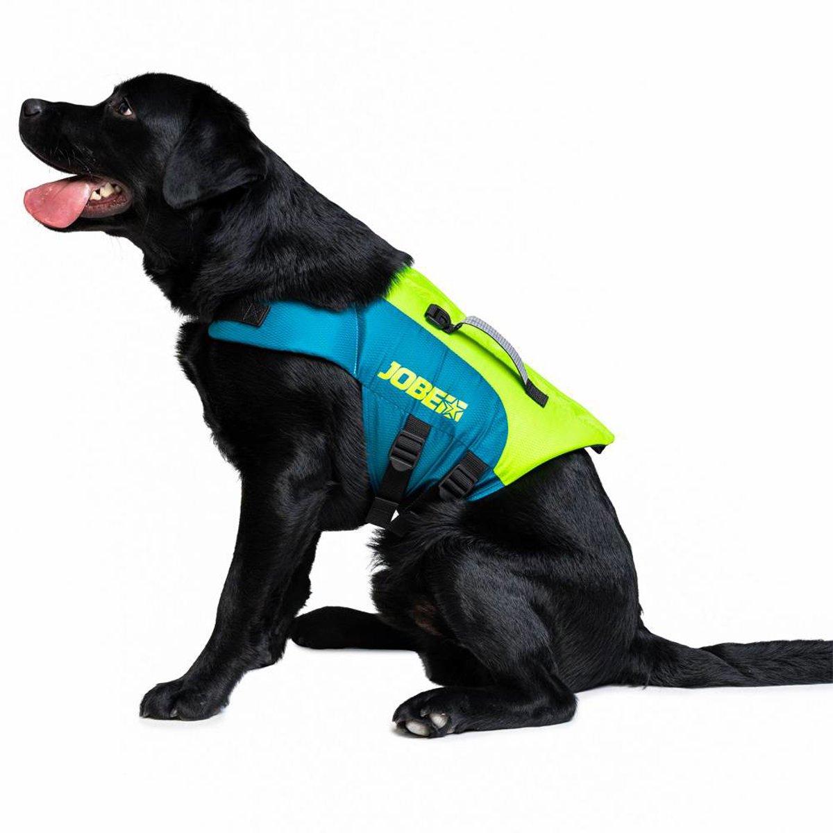 Jobe giubbotto salvagente per cane Lime Teal 5