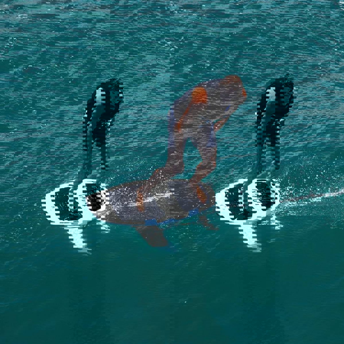 Ronix Set wakefoil Koal Surface 727 4’1 con mast fluid 24 per principianti/intermed 17