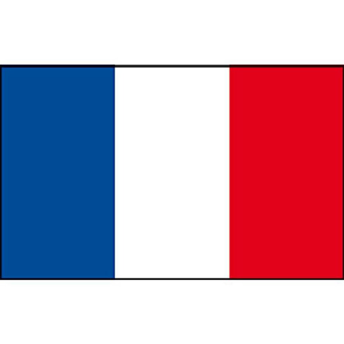 Talamex Bandiera francese 40x60 3