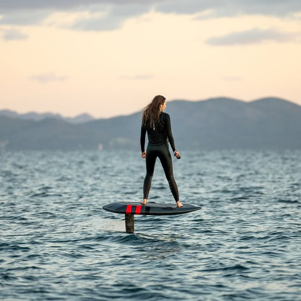 Aerofoils Audi e-tron efoil Performance set endurance - fast 6