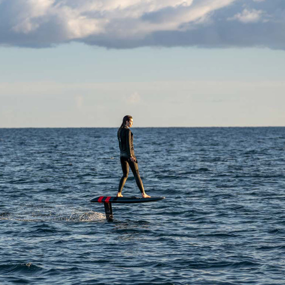 Aerofoils Audi e-tron efoil Performance set endurance - standard 7