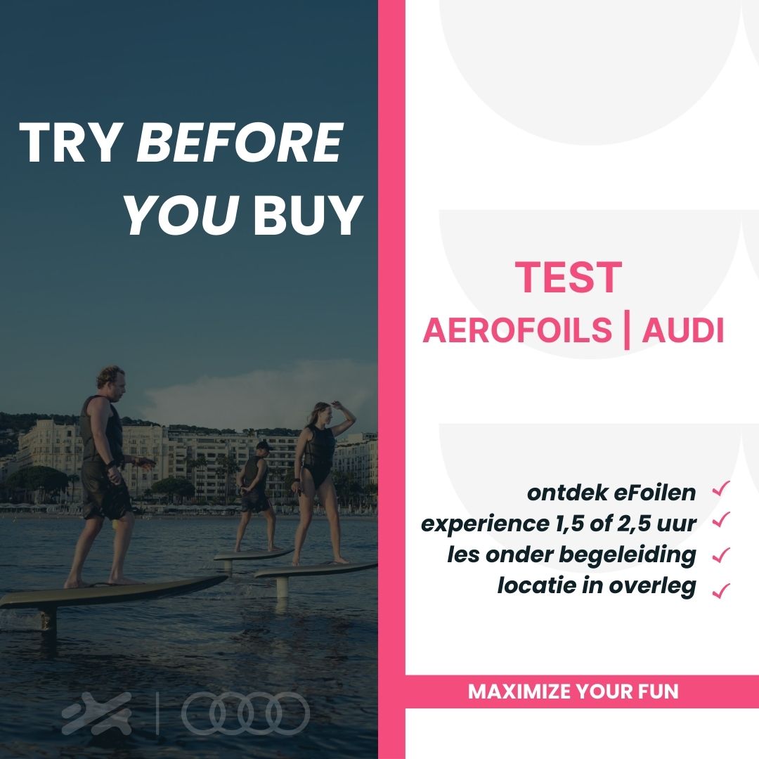 Audi e-tron efoil Performance set light - standard