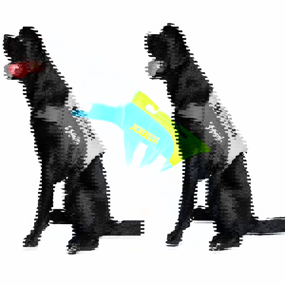 Jobe zwemvest hond Lime Teal 5