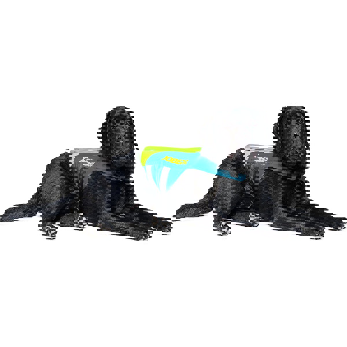 Jobe zwemvest hond Lime Teal 6