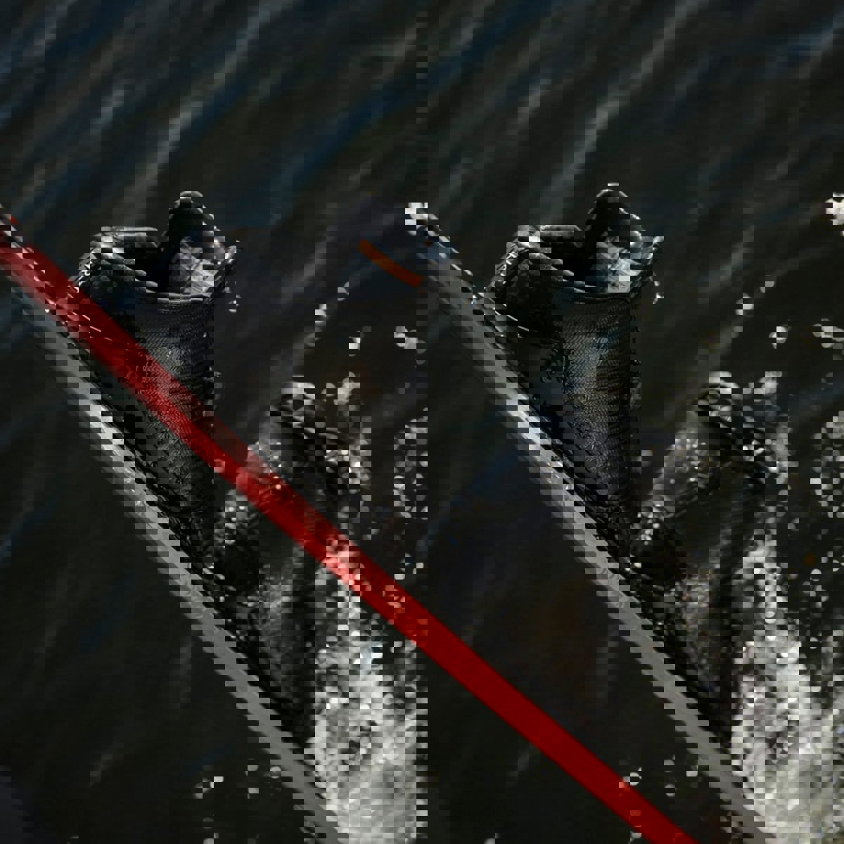 Radar Carbitex Vector BOA HRT slalom ski binding feather frame 14