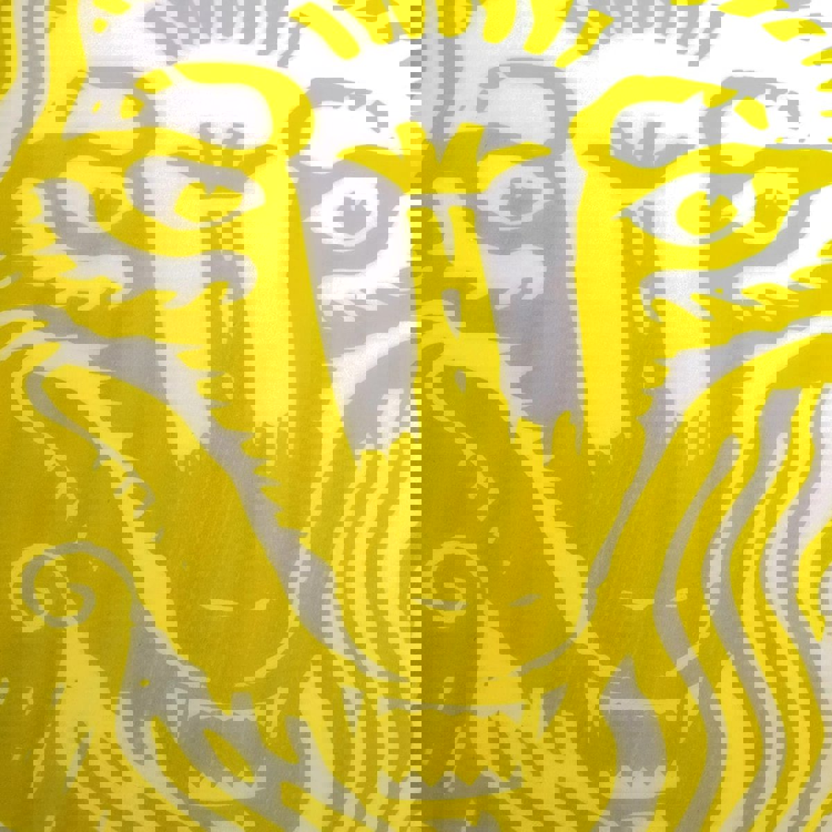 Hyperlite Guara wakeboard 153 cm 13