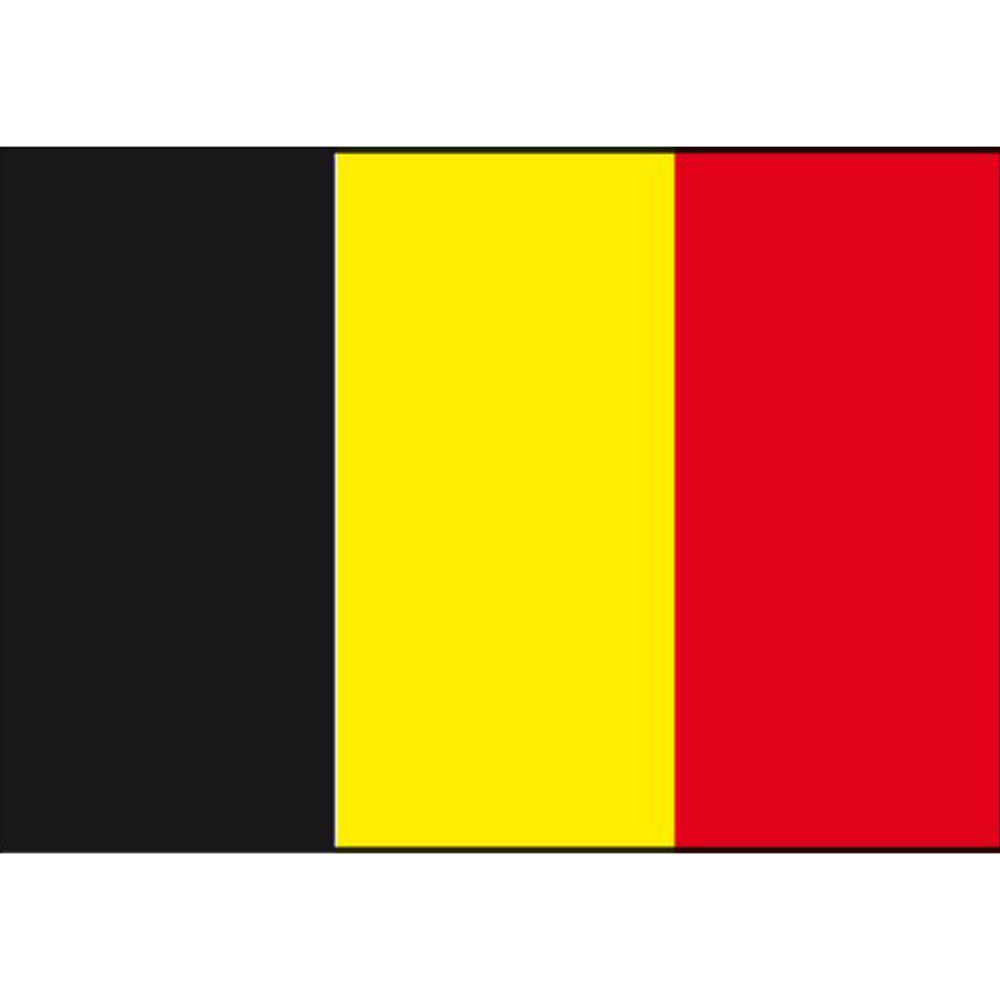 Talamex Belgische vlag 40x60 foto 1