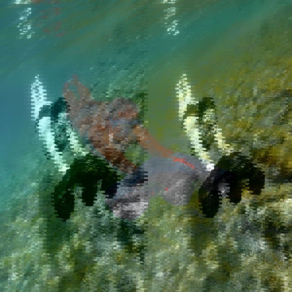 Jobe x Brabus Shadow seascooter pakket 19