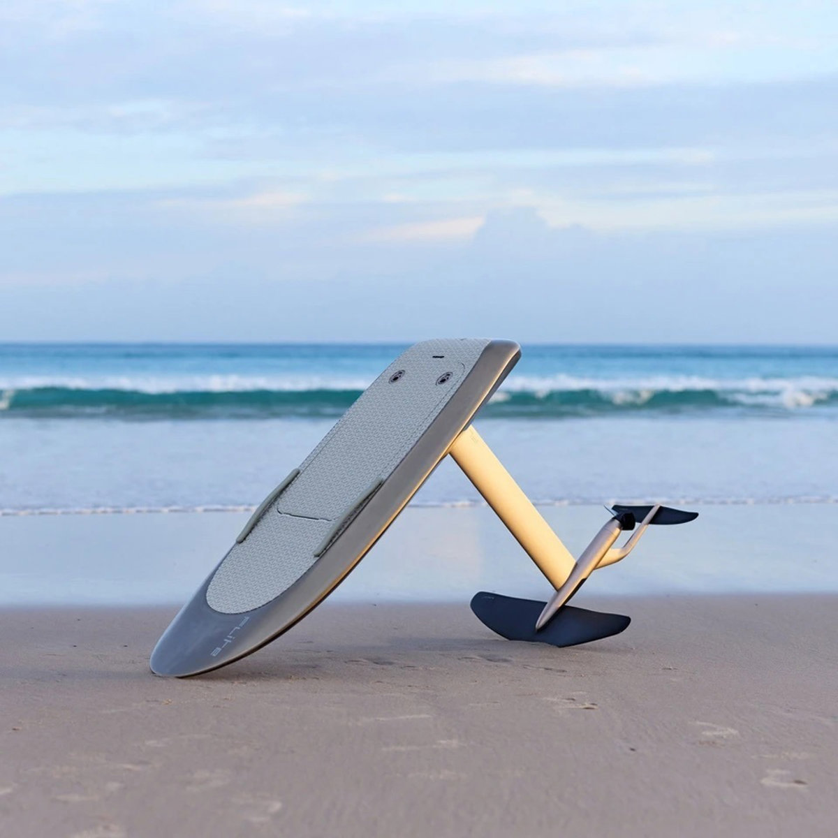 Flite PRO Carbon - Gold efoil board 2