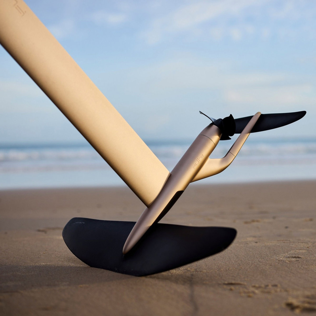 Flite PRO Carbon - Gold efoil board 3