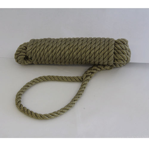 Talamex landvast basic 10mm x 10m manilla foto 1