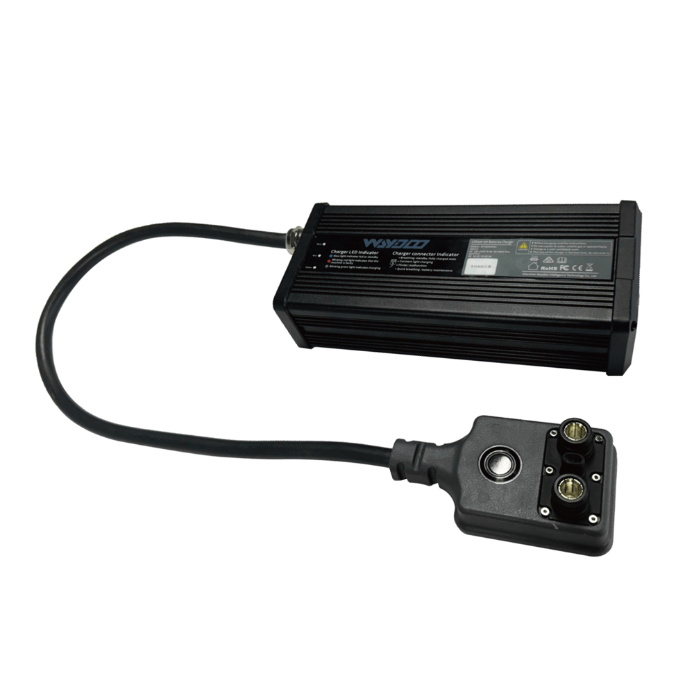 Powerflight standard charger